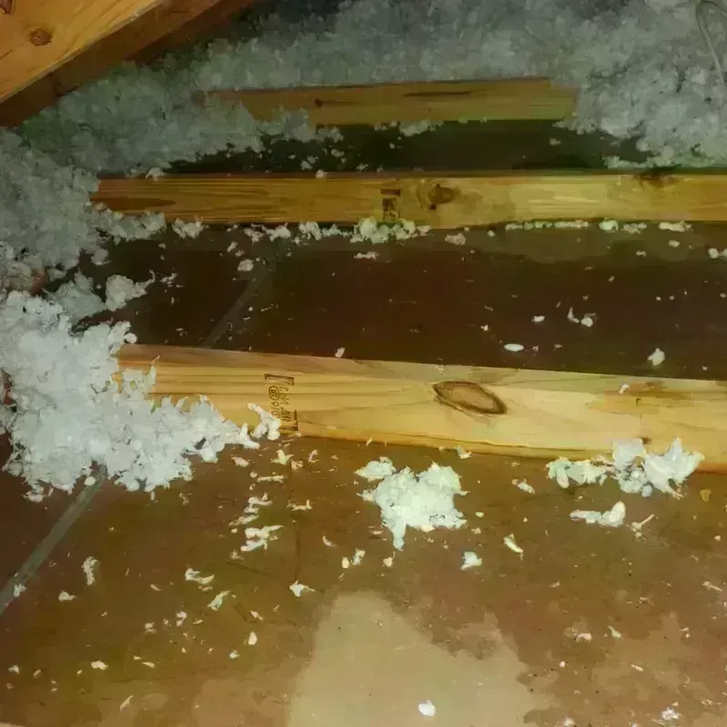 Attic Water Damage in Decatur County, TN