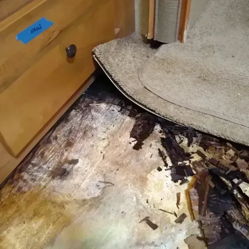 Best Wood Floor Water Damage Service in Decatur County, TN